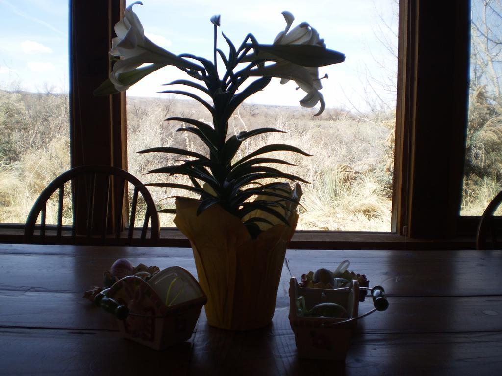 Silver River Adobe Inn Bed And Breakfast Farmington Luaran gambar