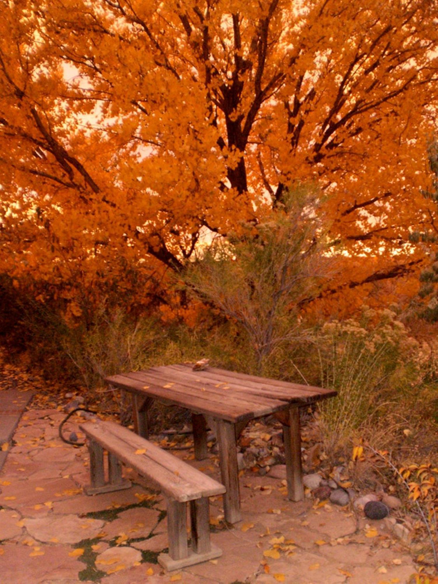 Silver River Adobe Inn Bed And Breakfast Farmington Luaran gambar